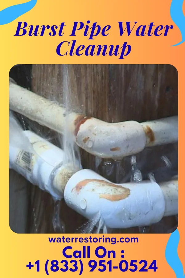 Burst Pipe Water Cleanup in Longfellow, PA