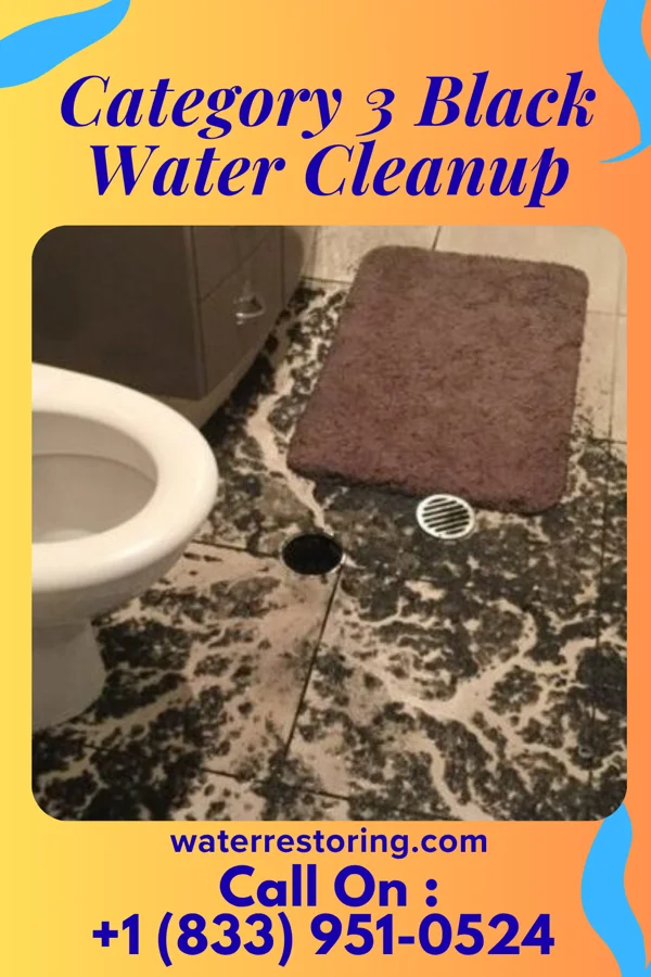 Category 3 Black Water Cleanup in Longfellow, PA