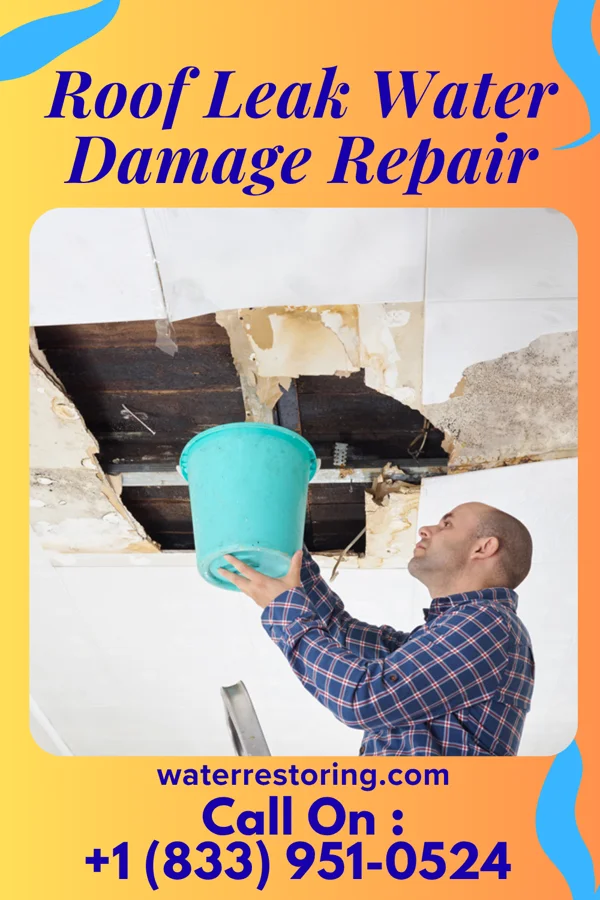 Roof Leak Water Damage Repair in Longfellow, PA