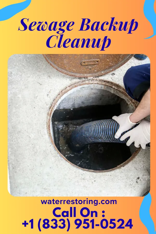Sewage Backup Cleanup in Longfellow, PA
