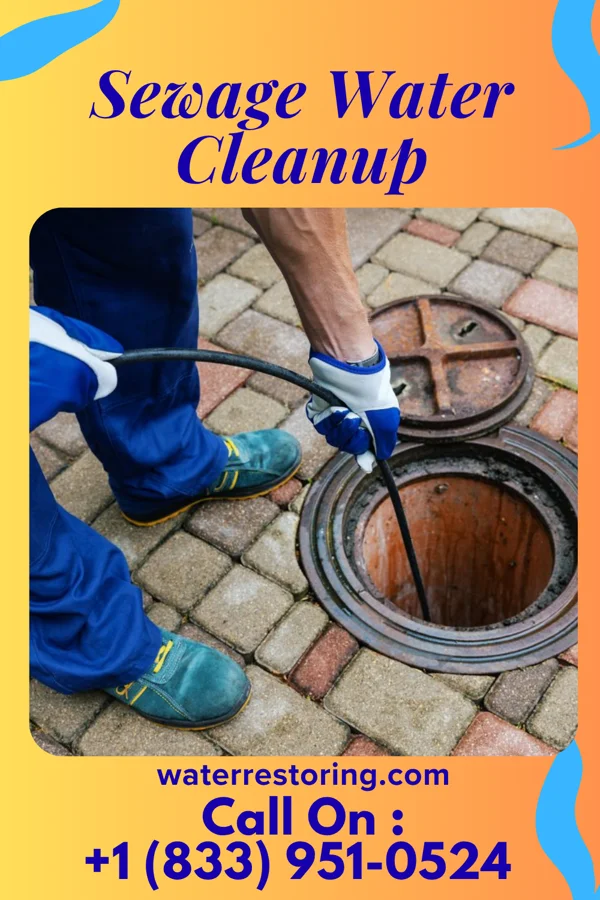 Sewage Water Cleanup in Longfellow, PA